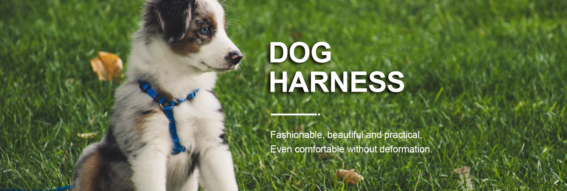 Flexible Nylon Dog Leash Red Dog Walking Leash For Small Medium Large Dogs