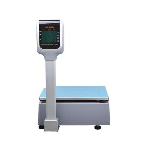 RLS1000D/RLS1100D Digital Computing Printing Scale Easy Operation