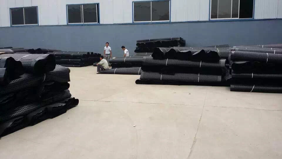 Modern Engineering Construction Waterproofing Water Storage Drainage Board for Roof Garden