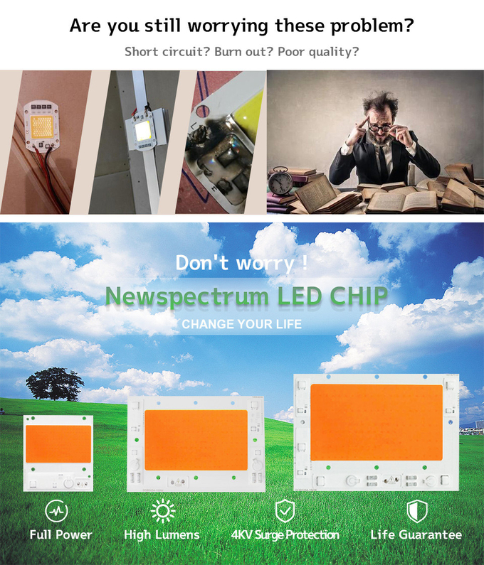150W High Power Cob AC High Conductivity Aluminum LED Lamp Beads