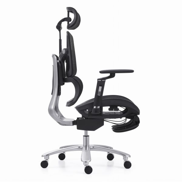 Modern Ergonomic Full Mesh Chair 6D Armrest 2D Lumbar Office Chair