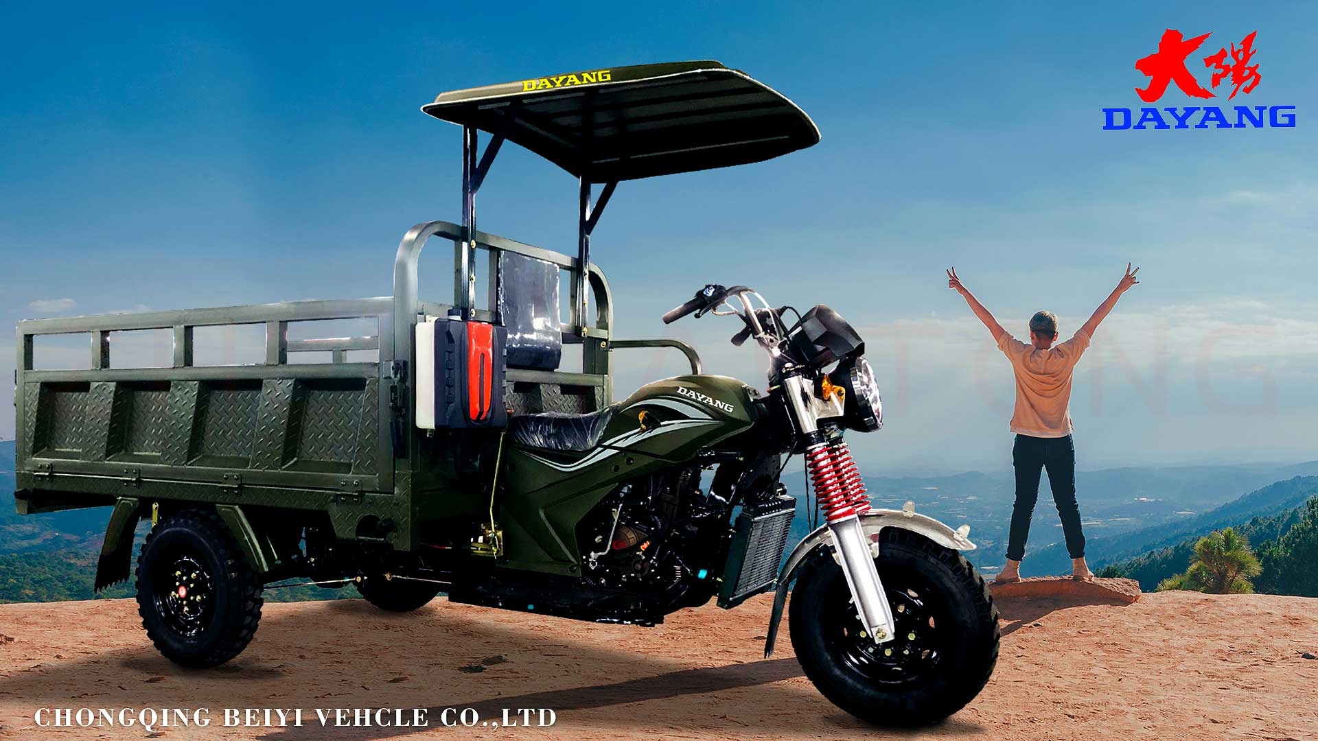 800W Power Battery Engine Plate 3 Wheel Cargo Tricycle for Adult Car