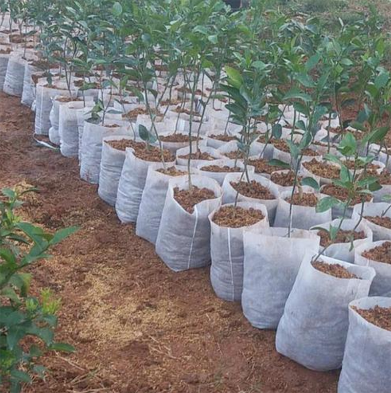 10cm-320cm Width Non Woven Needle Punched Geotextile for Agricultural Applications