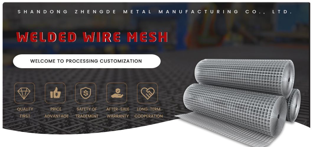 304 Galvanized Welded Wire Mesh for Fence Panel /Iron Welded Wire Mesh/Stainless Steel Welded Wire Mesh