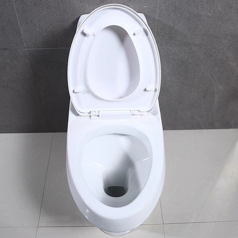 Factory Wholesale Bathroom Floor Mounted 4inches outlet 250/300mm Roughing-in Ceramic Washdown One-piece Toilet