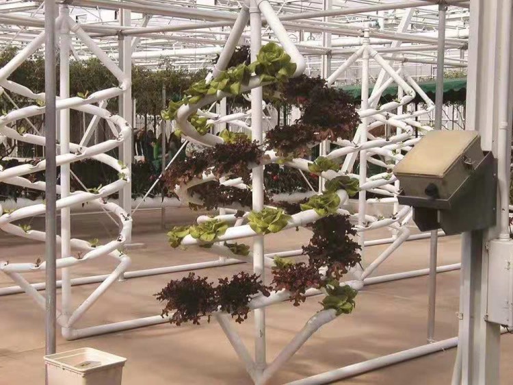 Spiral NFT Hydroponic Garden Tower Hydroponic Garden Tower 200000 KG