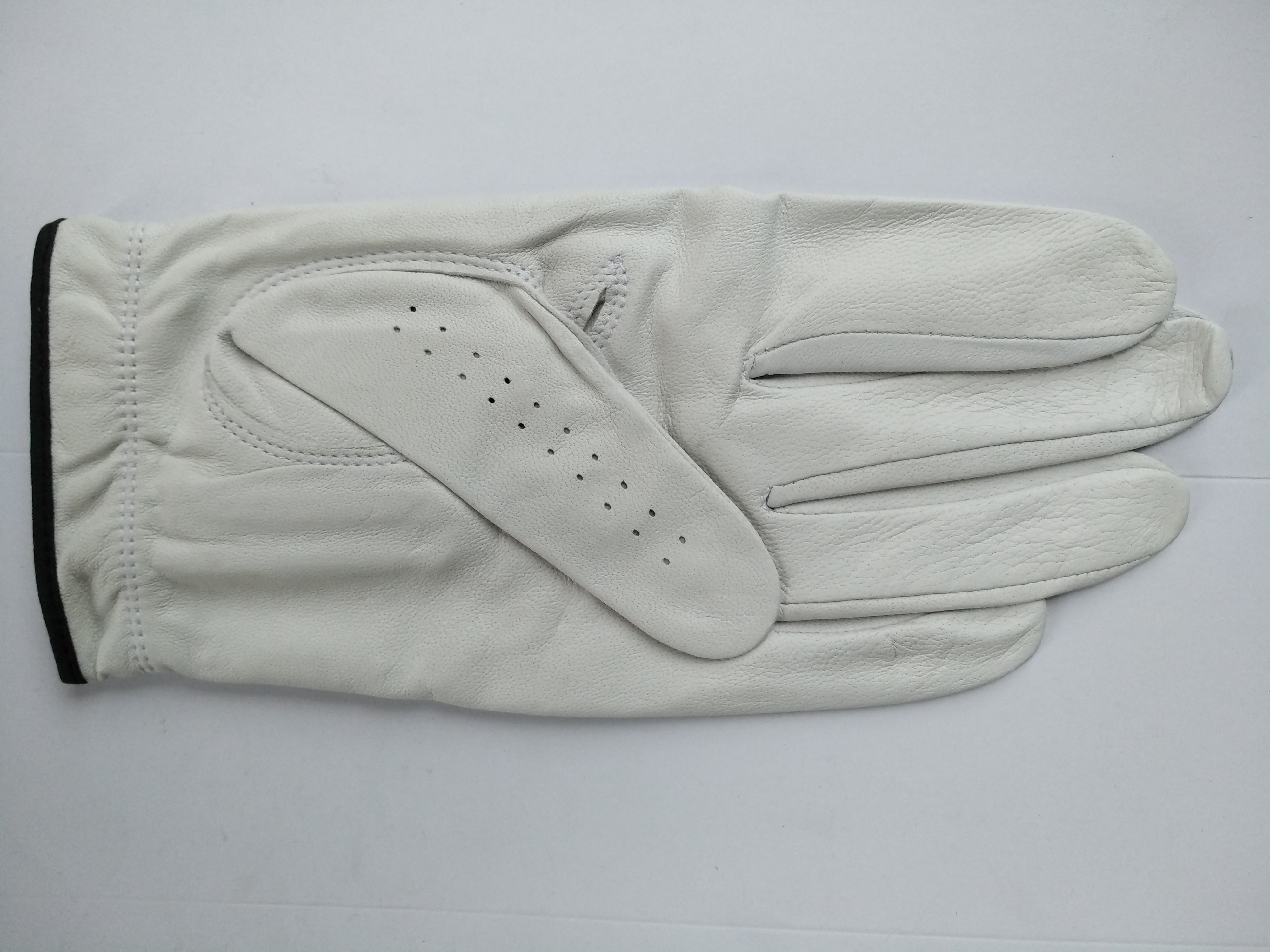 golf glove , golf gloves , glove , gloves