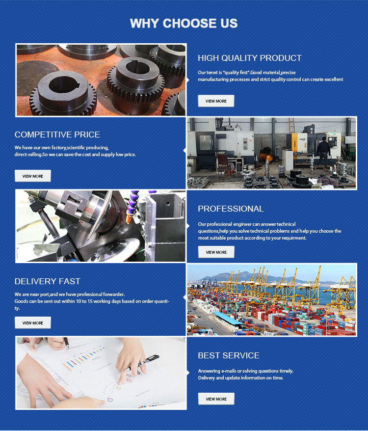 Oxidation Motor Aluminum Flexible Coupling Spider Sliding Shaft Coupling