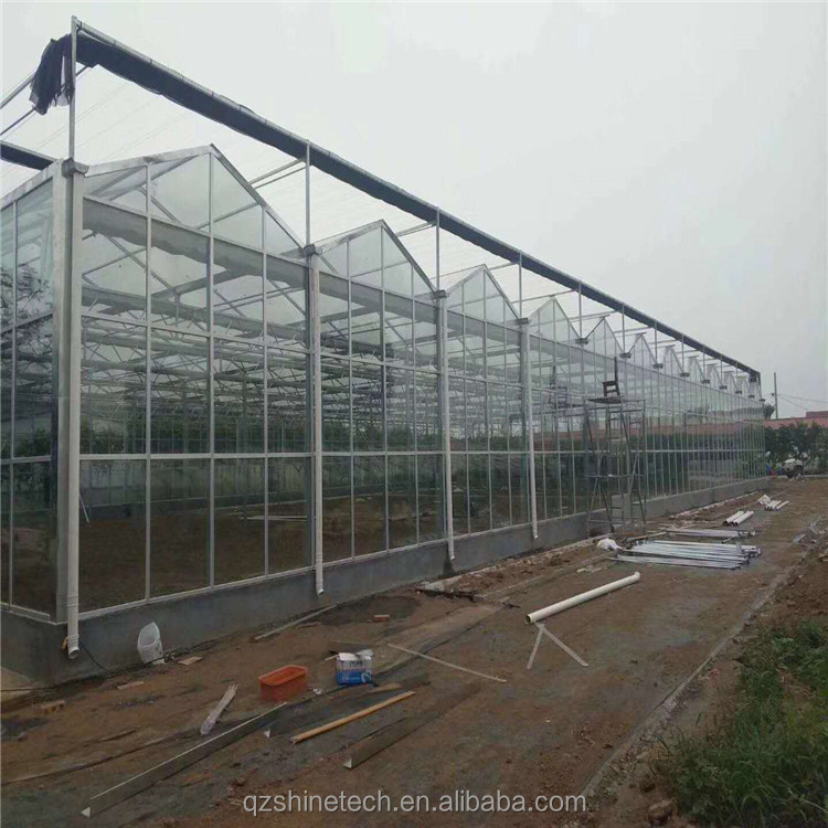 Tempered Glass Covered Agricultural Greenhouse for Growing Vegetables in Holland Frame