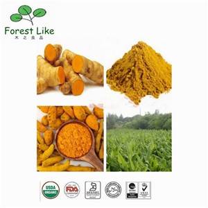 Herbal Turmeric Root Extract Powder 95 % Turmeric Curcumin