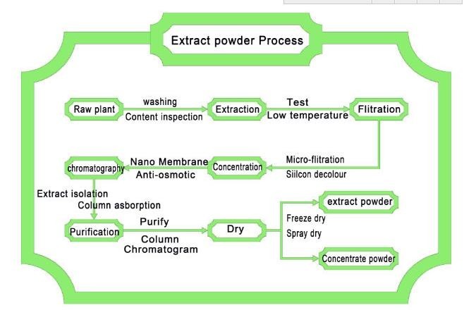Pure Natural Lily Extract Powder 10:1