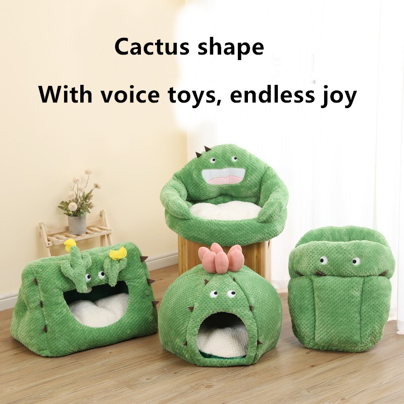 cat cactus bed