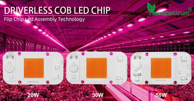 5000k Driverless LED COB Chip Size 25mm AC 110V LED Street Module