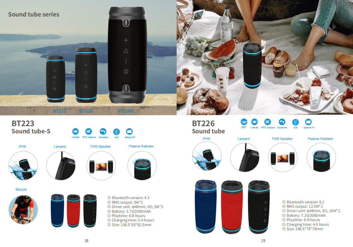 60W Waterproof IPX5 Bluetooth Wireless Speaker with TWS, DSP, TF Card, Equalizer & Subwoofer