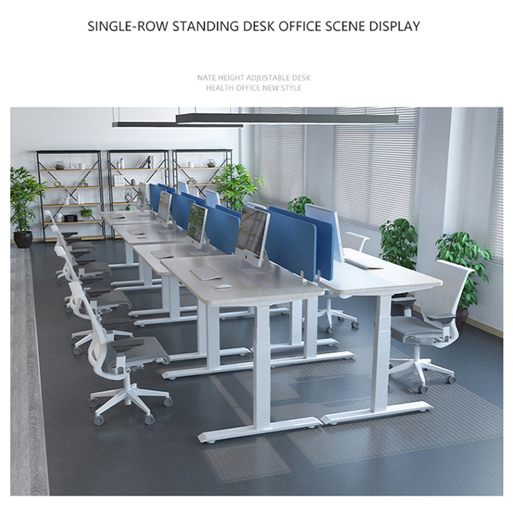 Promotion Modern 25mm/s Height Adjustable Double Motor Desk for Learning and Writing