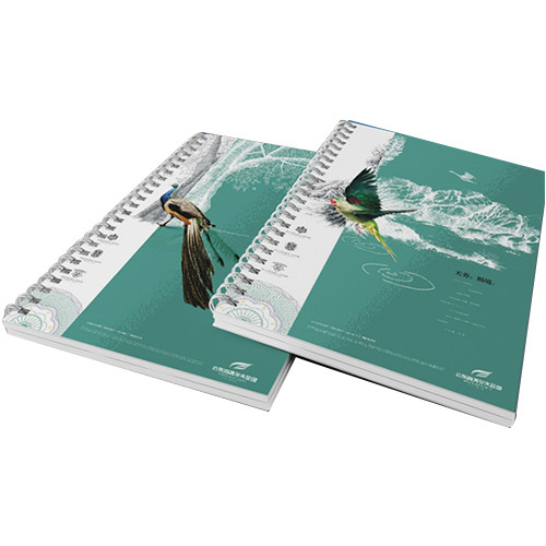 OEM Brochure Printing Services , Leaflet / Air Flyer Printing Services