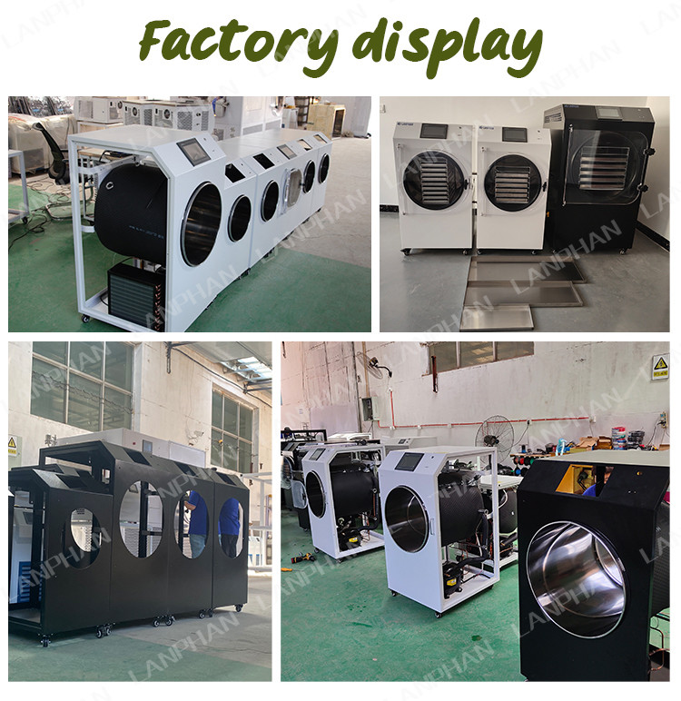 0.3m2 Home Freeze Dryer Benchtop Freeze Drying Machine Small Vacuum Drying Equipment