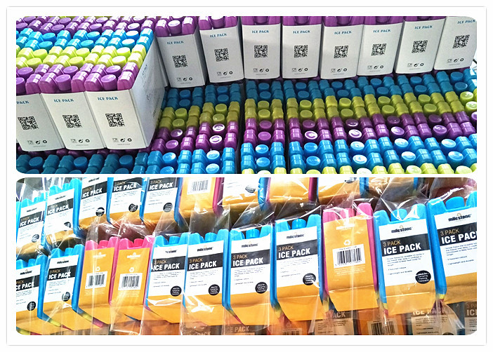 Customize ice substitute freezer cooler ice pack ice brick for cool bag