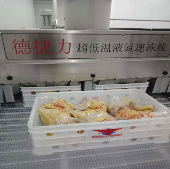 Food industrial tunnel quick freezer iqf meat quick freeze machine blast freezer