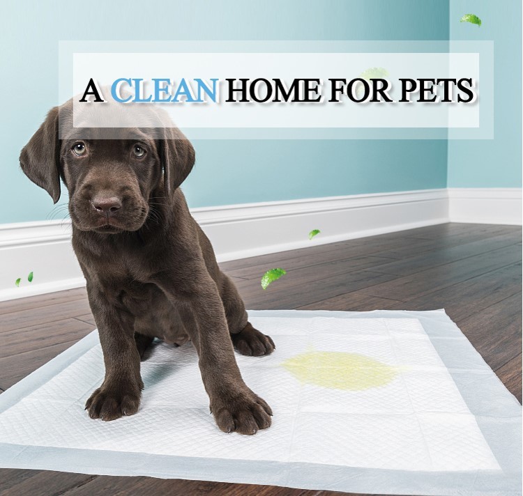 5 Layers Fluff Pulp Mixed SAP Biodegradable Bamboo Pet Pee Pad
