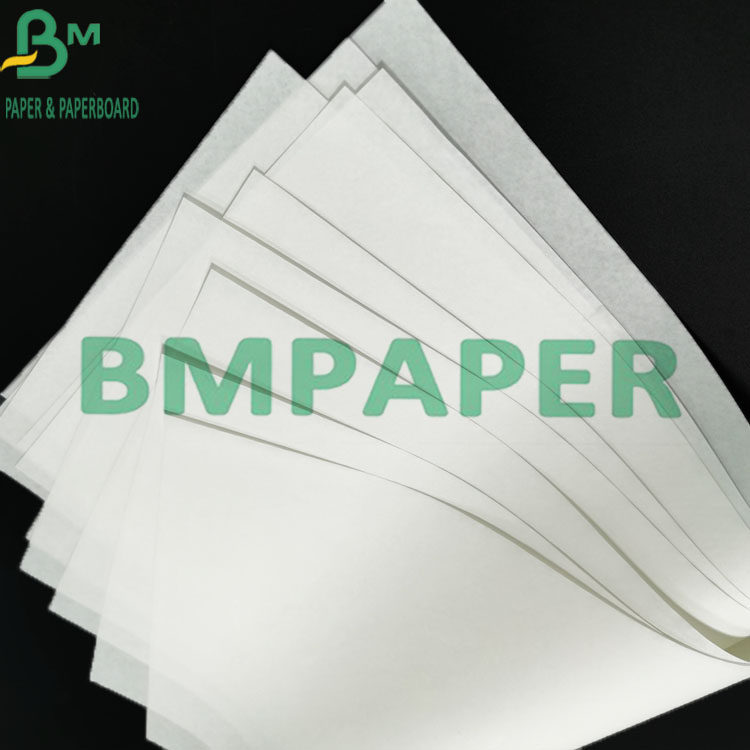 48g Thermal Printer Paper BPA Free Cash Register POS Receipt Paper Roll