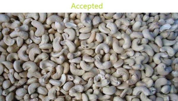 Schneider switch Intelligent Cashew Color Sorter