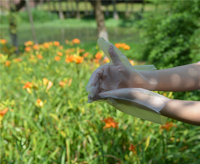Ambidextrous Food Grade Disposable TPE Gloves