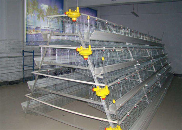 A Type RTL Chicken Cage / 3 Tier 5 Doors Galvanized Layer Poultry Cage For Broilers