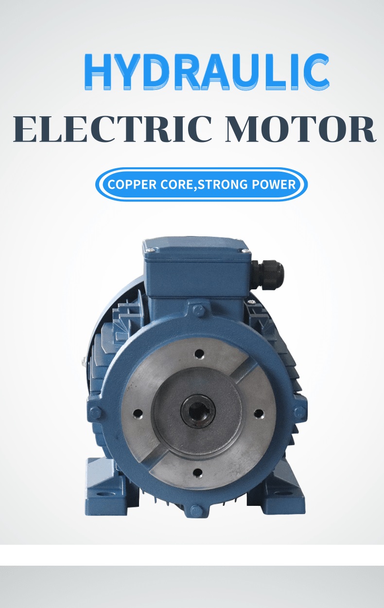 hydraulic motor