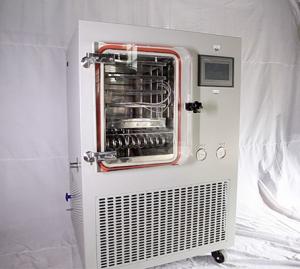 China Standard Type Lab Vacuum Freeze Dryer Freeze Drying Machine on sale
