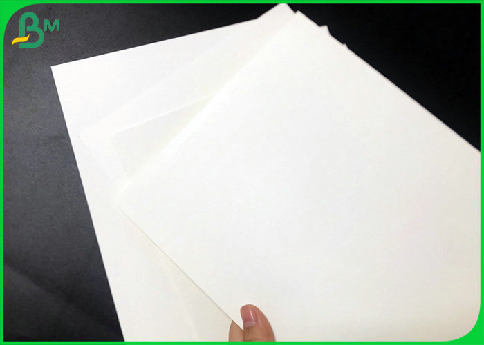  Jumbo Rolls 200gsm + 15PE Coated White Paper For Paper Cups 700mm Width