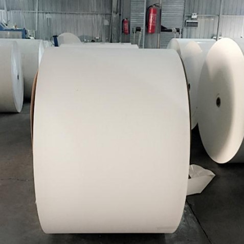 OEM 190gsm 260gsm PE Coated Cup Stock Paper In Roll Sheet