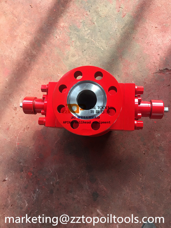 Gas Oil Well Blowout Preventer Polish BOP Sucker Rod