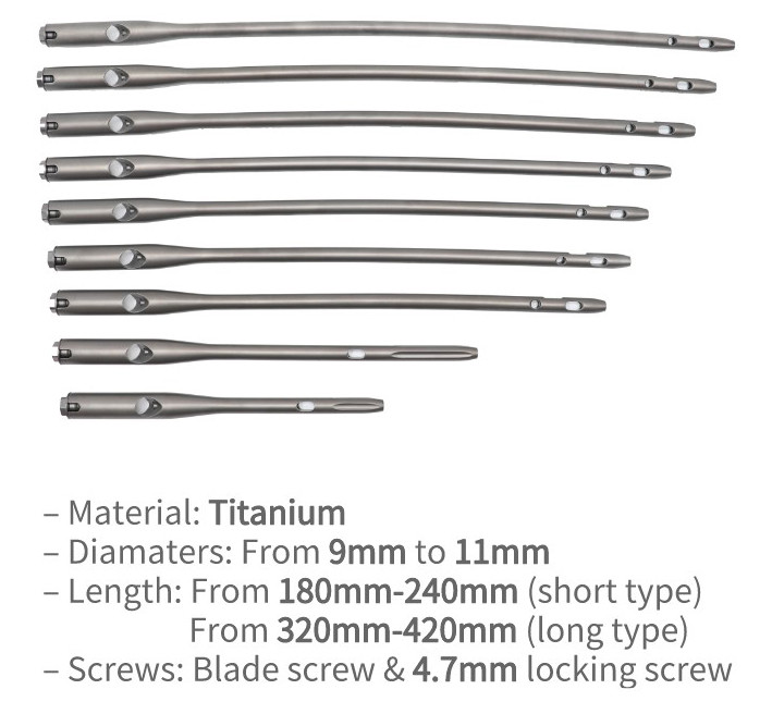 PFNF Orthopedic Interlocking Intramedullary Nail