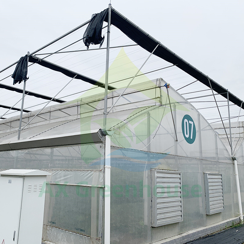 Low Maintenance Poly Tunnel Multi-Span Greenhouse Durable Steel Components