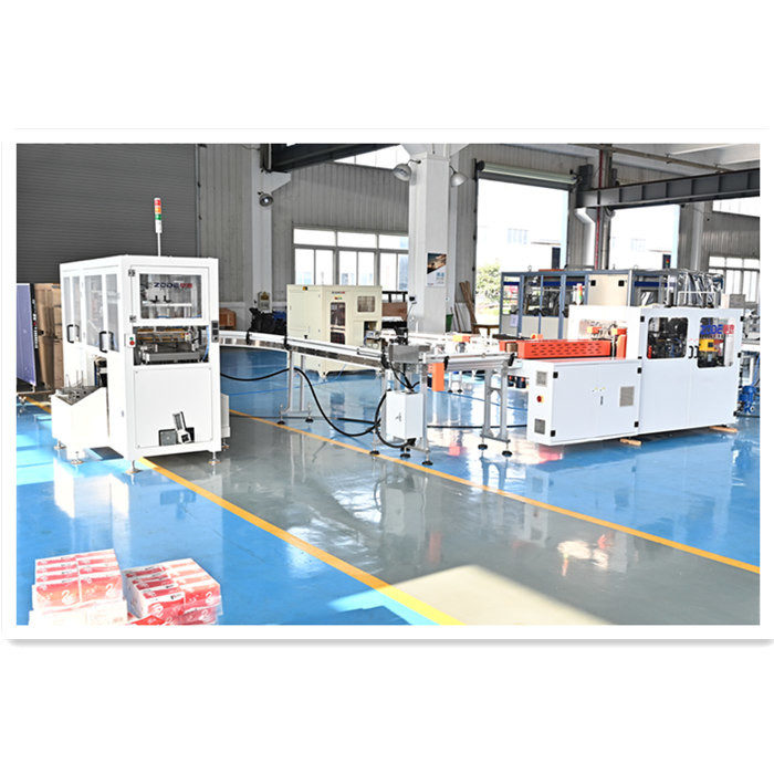 5packs/Min 2rows Soft Facial Tissue Packing Machine