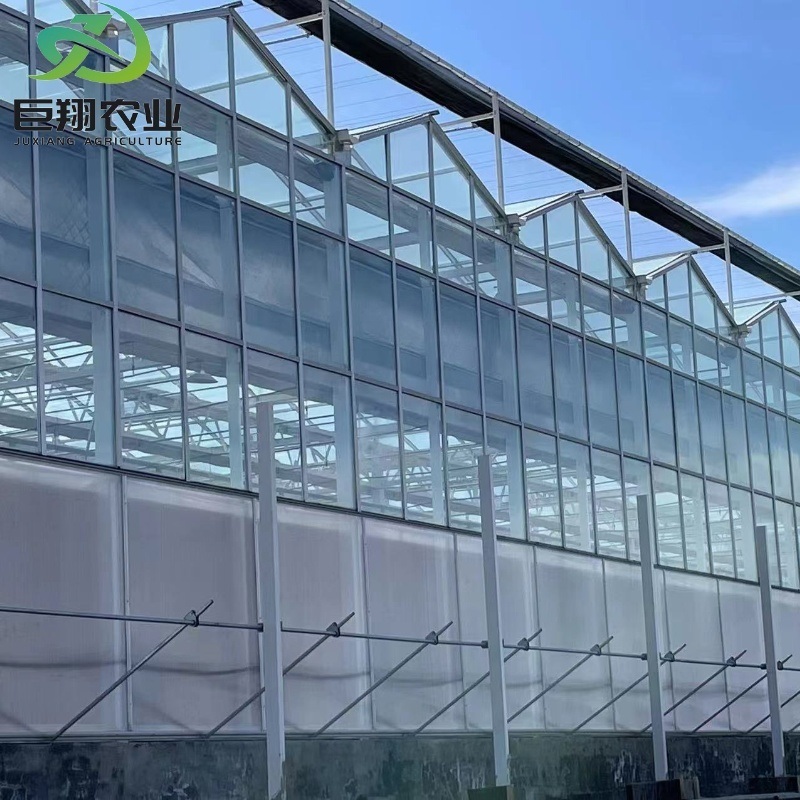 Agriculture Greenhouse Construction Polycarbonate Sheet Covered for Tomatoes