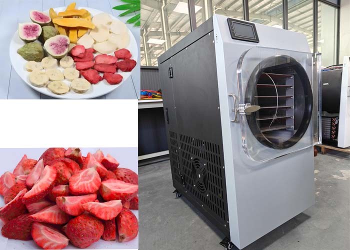 15KG 20kg Home Commercial Freeze Dry Machine For Long Term Food Preservatio