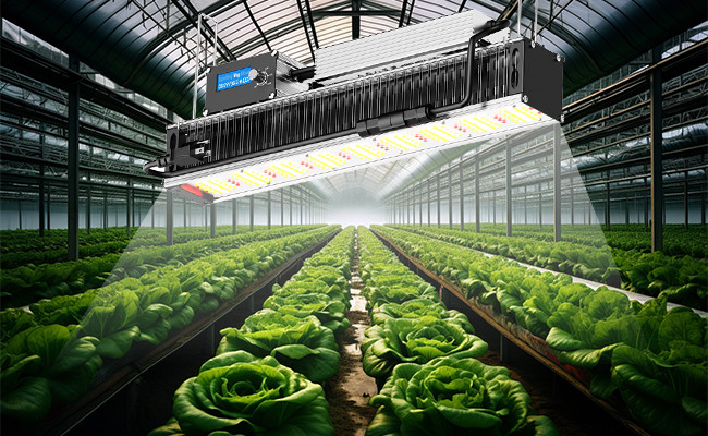 Durable 240W Horiticulture LED Toplighting Grow Light Greenhouse Grow Lamps