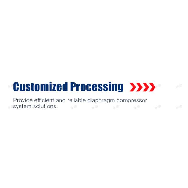 Oil Free Argon Gas Diaphragm Compressor Gas Air Hydrogen Diaphragm Compressor