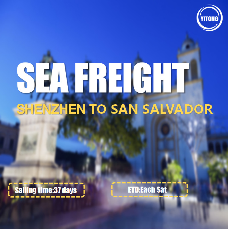 Shenzhen To San Salvador International Ocean Logistics Via ACAJUTLA