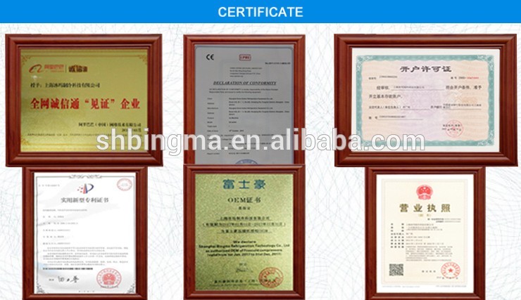 China 50 tons/day containerized snow flake ice machine for cooling with factory price