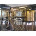 Energy Saving Stainless Steel Beer Brewing Equipment Ss Brewing Fermenter for sale