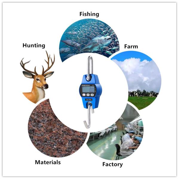 OCS 30kg 50kg 60kg 100kg 120kg 150kg 200kg 300kg Mini Bluetoeeh Digital Hanging Crane Scale