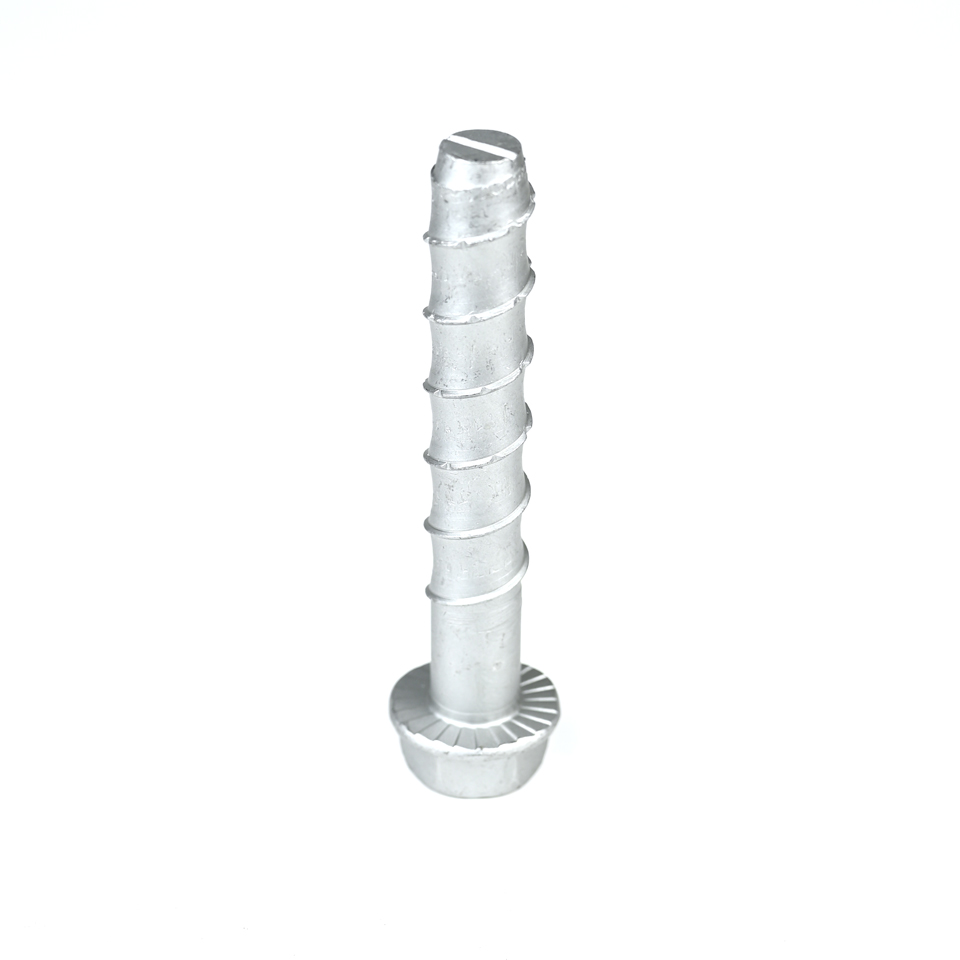 Long-lasting and Stainless Steel Hexagonal Concrete Bolt Anchor for Facade Suspension