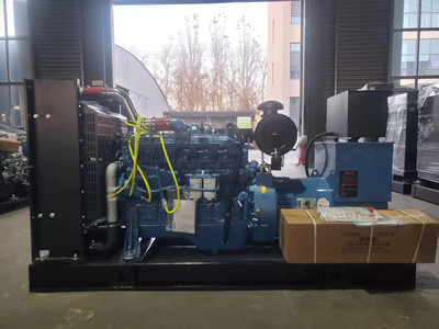 50 KW Water Cooled Diesel Generator AC Alternator 1500rpm Diesel Generator