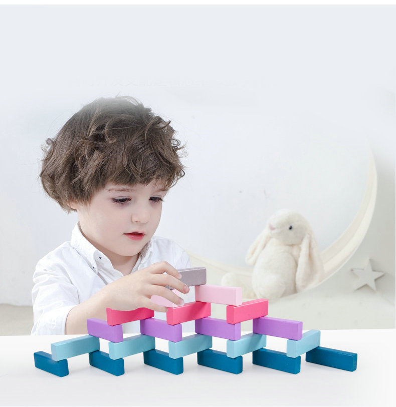 Balance 48pcs Colored Wooden Domino Blocks Stacked Rainbow Educational Toys