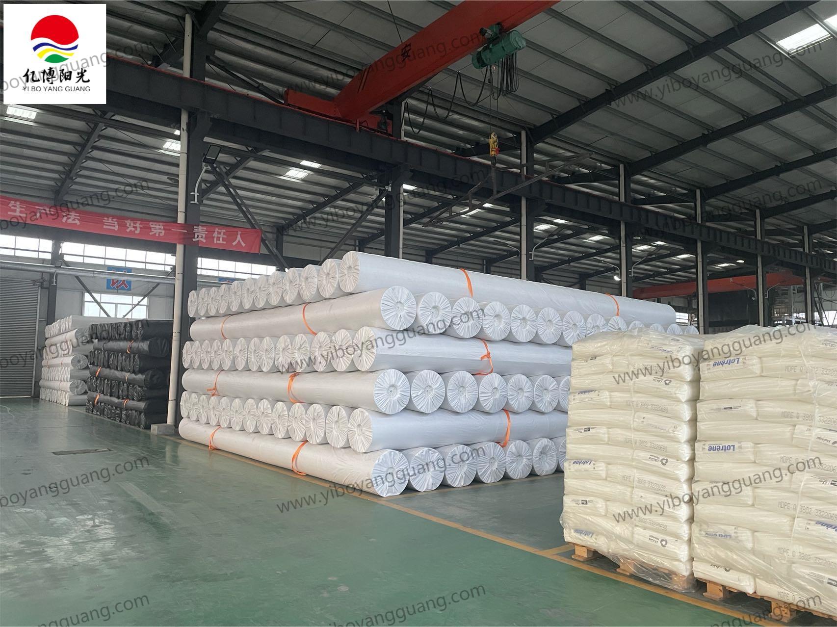 0.1mm-3.0mm Thick Dam Reservoir HDPE Geomembranas Sheet Pond Liner for Water Storage