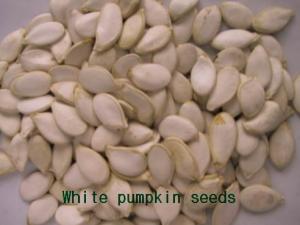 China Seeds,Snow White Pumpkin Seeds on sale