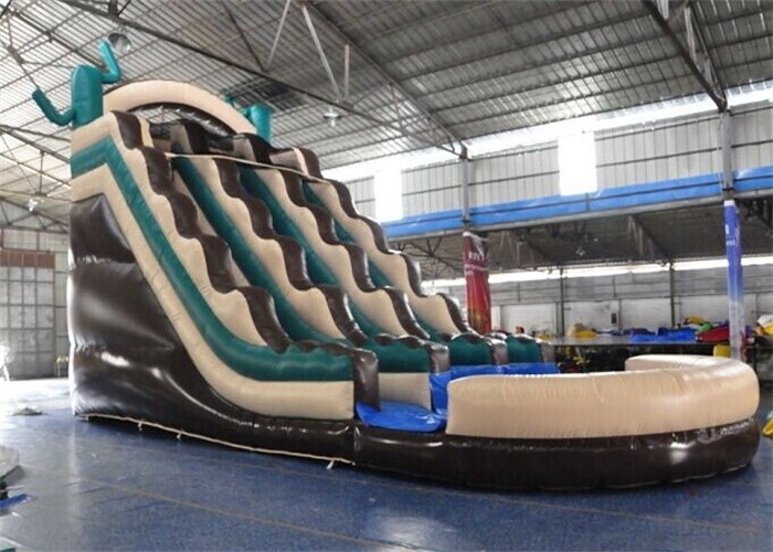 Colored Fire Retardant Commercial Inflatable Giant Slide With Pool